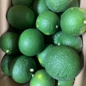 箱入り緑かぼす図1