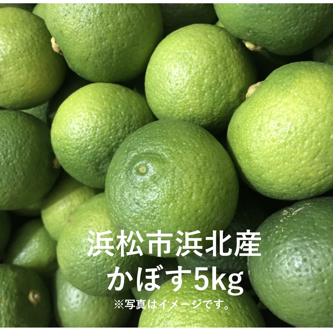 浜松市浜北産 かぼす5kg